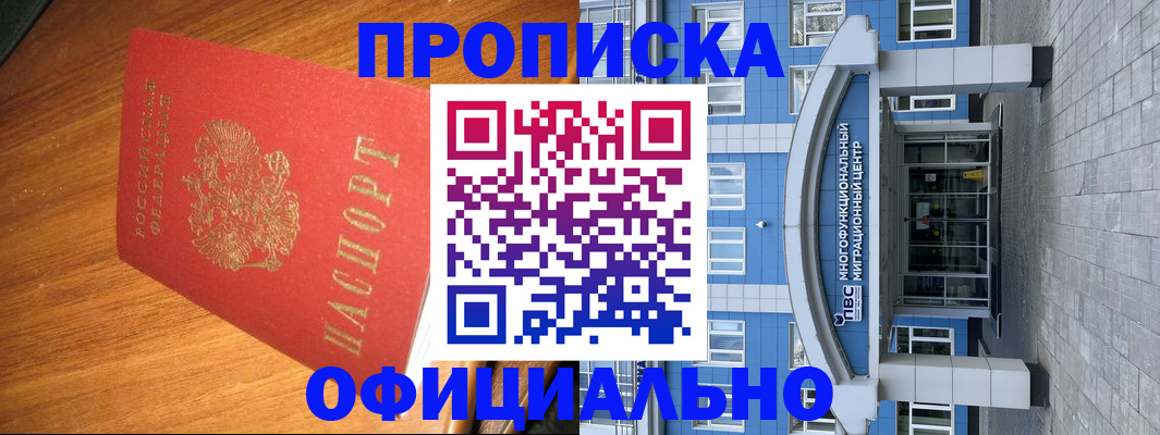 временная регистрация для школы в Фрязино